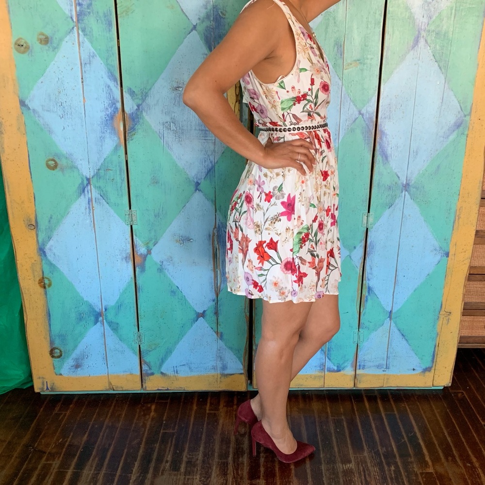 WILLOW & CLAY -XS - Picture 4 of 8